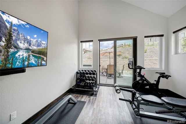 701 Saddle Ridge Cir, Granby, CO 80446 - exercise area with wood finished floors, baseboards, and high vaulted ceiling