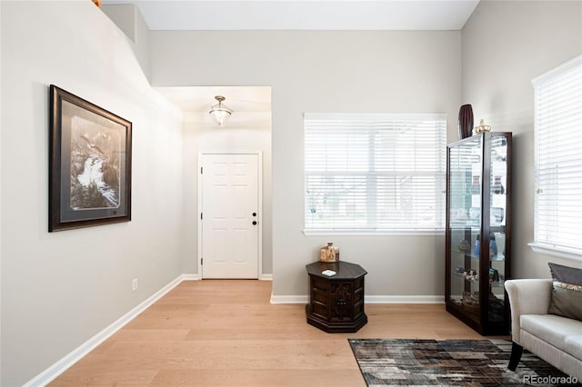 foyer entrance with wood finished floors, plenty of natural light, and baseboards