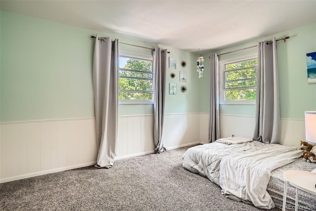6494 W 85th Ave, Arvada, CO 80003 - carpeted bedroom featuring multiple windows and a wainscoted wall