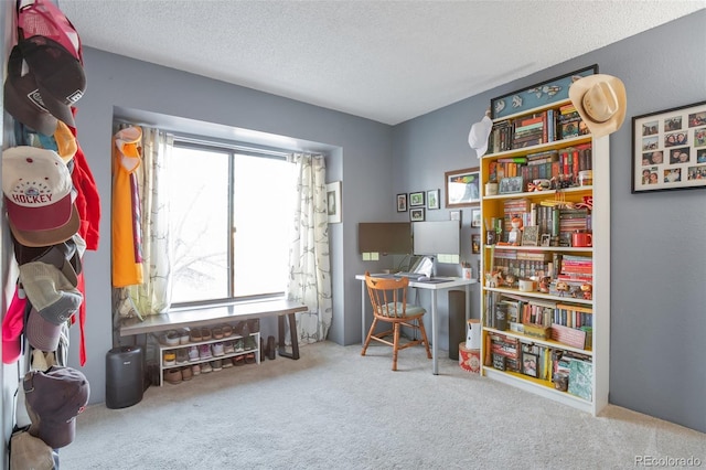 misc room with carpet and a textured ceiling