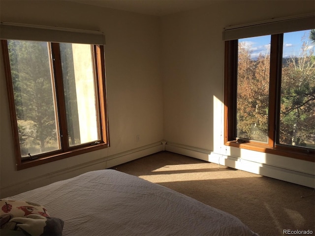 31270 John Wallace Rd Unit 310, Evergreen, CO 80439 - view of carpeted bedroom