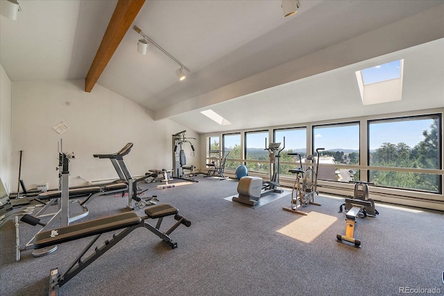 31270 John Wallace Rd Unit 310, Evergreen, CO 80439 - exercise room featuring a skylight and rail lighting