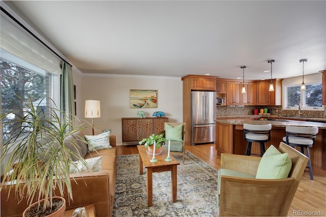 living room featuring crown molding, light hardwood / wood-style floors, and sink