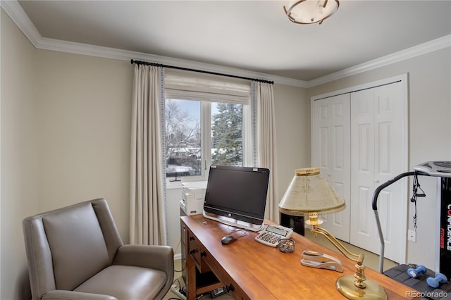 office space with crown molding