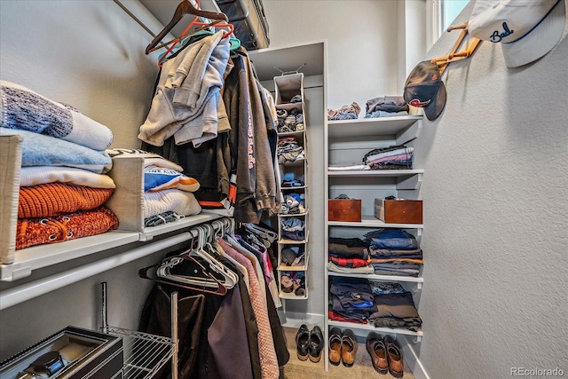 spacious closet with carpet flooring