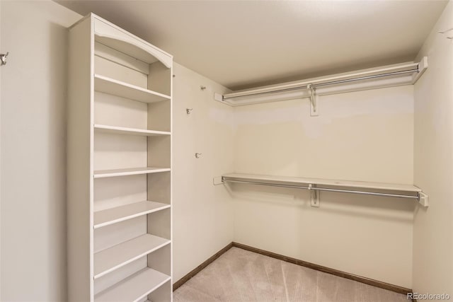8159 Lodgepole Trl, Lone Tree, CO 80124 - spacious closet featuring carpet floors