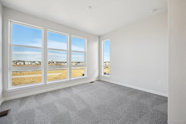 spare room with carpet and plenty of natural light