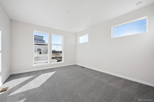 empty room featuring carpet and plenty of natural light