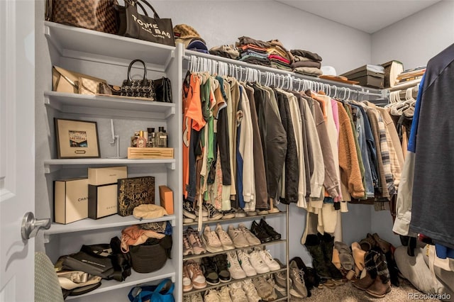 spacious closet with carpet floors