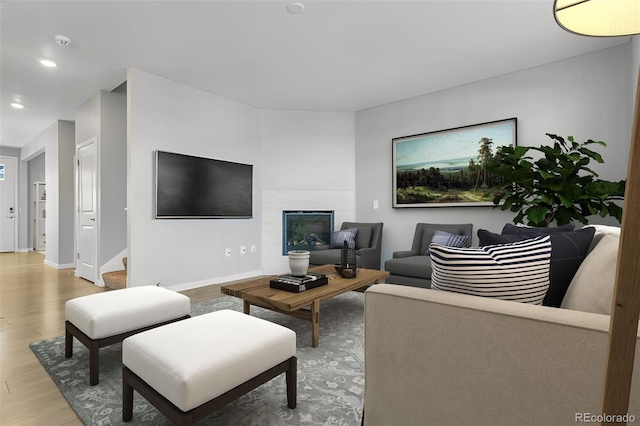 living room featuring hardwood / wood-style flooring