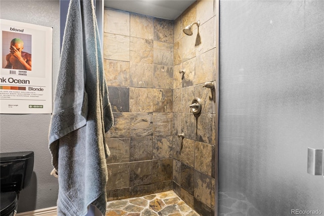 16896 E Maplewood Dr, Aurora, CO 80016 - bathroom with tiled shower and toilet