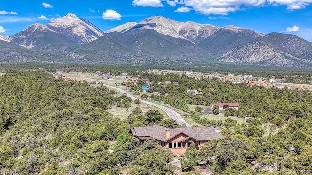 12850 County Road 261k, Nathrop, CO 81236 - view of mountain backdrop