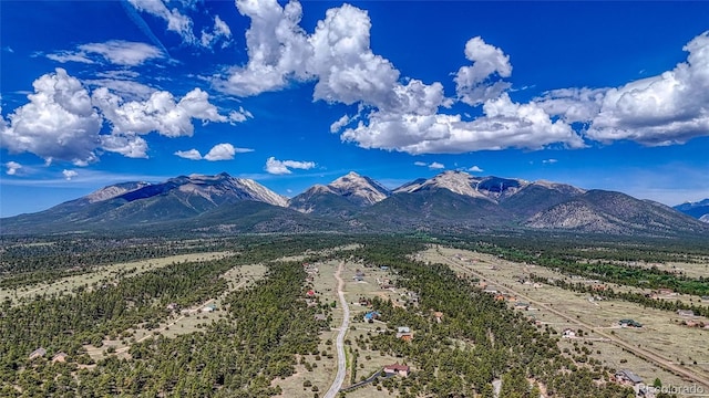 12850 County Road 261k, Nathrop, CO 81236 - mountain view
