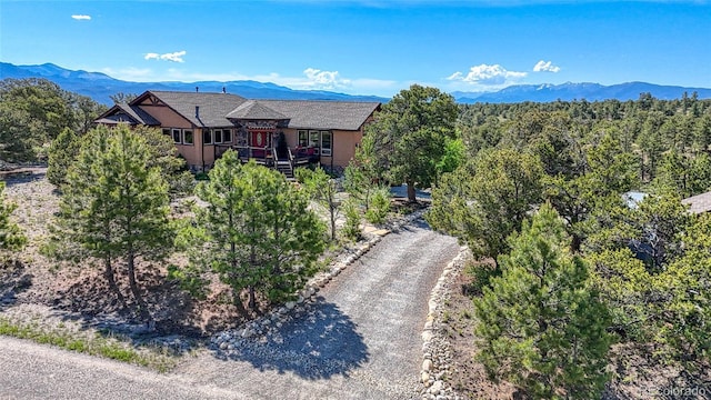 12850 County Road 261k, Nathrop, CO 81236 - mountain view