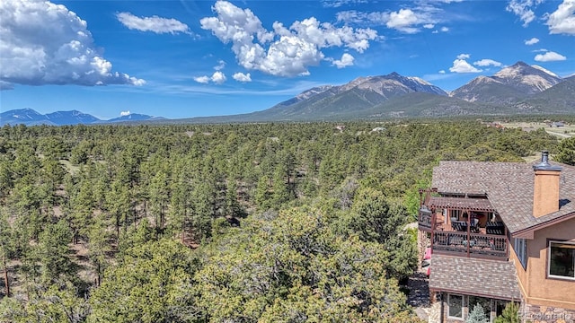 12850 County Road 261k, Nathrop, CO 81236 - mountain view featuring a forest