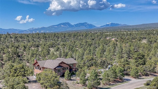 12850 County Road 261k, Nathrop, CO 81236 - view of mountain backdrop with a heavily wooded area