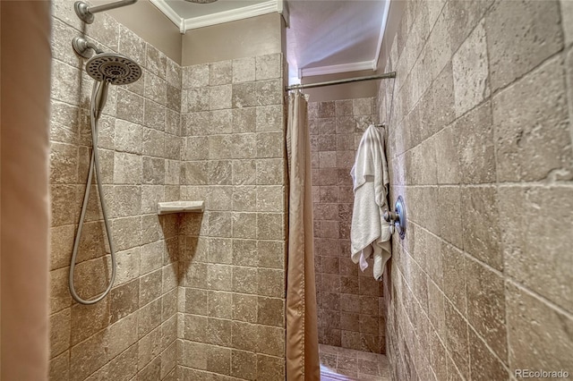 12850 County Road 261k, Nathrop, CO 81236 - bathroom with ornamental molding and a tile shower