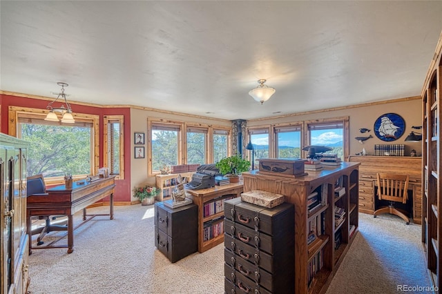 12850 County Road 261k, Nathrop, CO 81236 - office space with light carpet, healthy amount of natural light, and crown molding