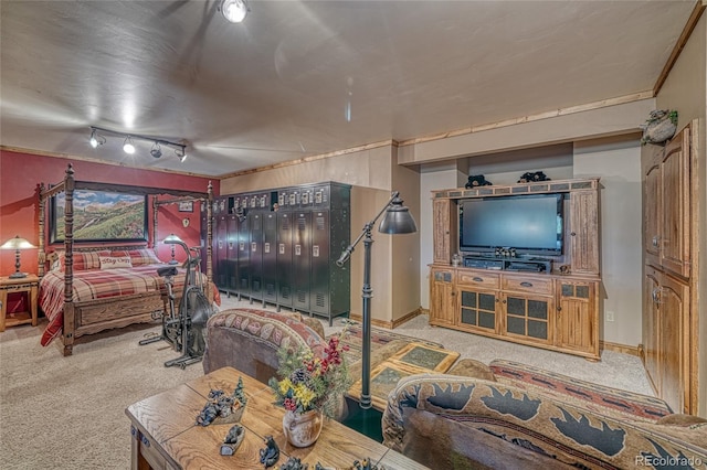 12850 County Road 261k, Nathrop, CO 81236 - living area featuring carpet and rail lighting
