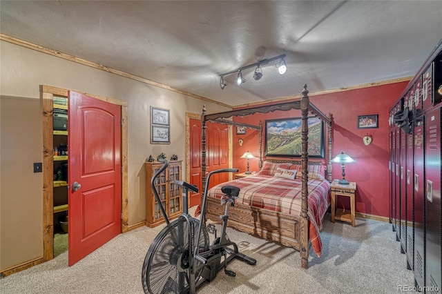 12850 County Road 261k, Nathrop, CO 81236 - bedroom featuring carpet, crown molding, and rail lighting