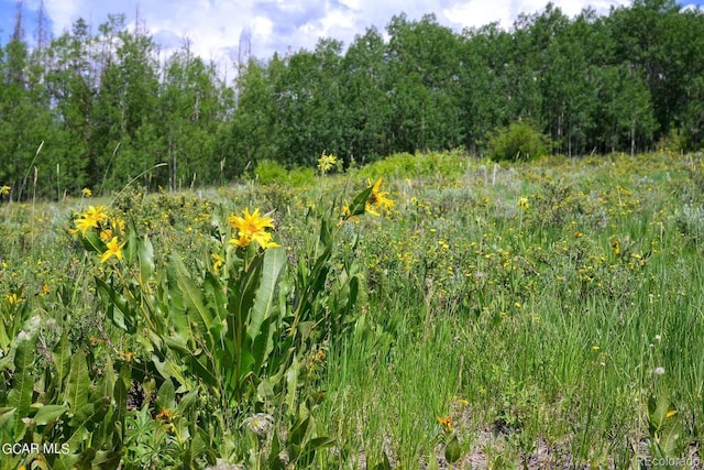 2064 Gcr 88, Granby, CO 80446