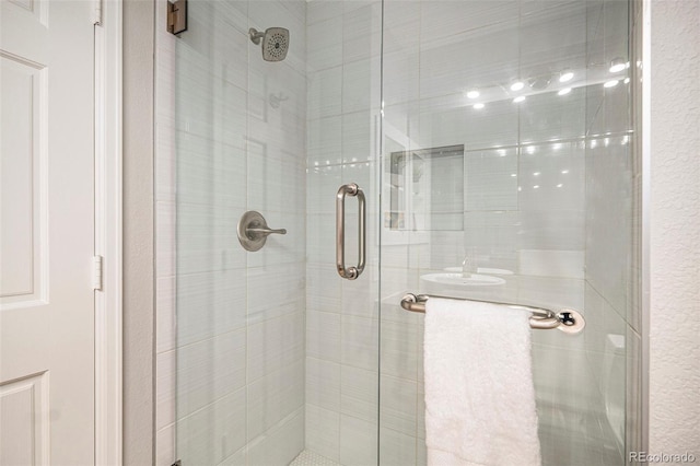 9673 Pinebrook St, Highlands Ranch, CO 80130 - bathroom with a stall shower