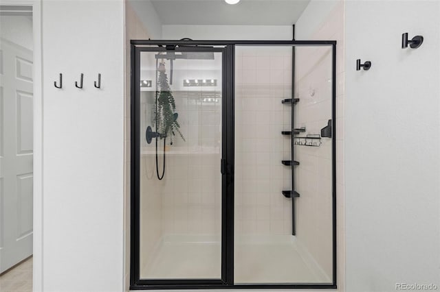 1228 Argali Dr, Severance, CO 80550 - full bath with a stall shower