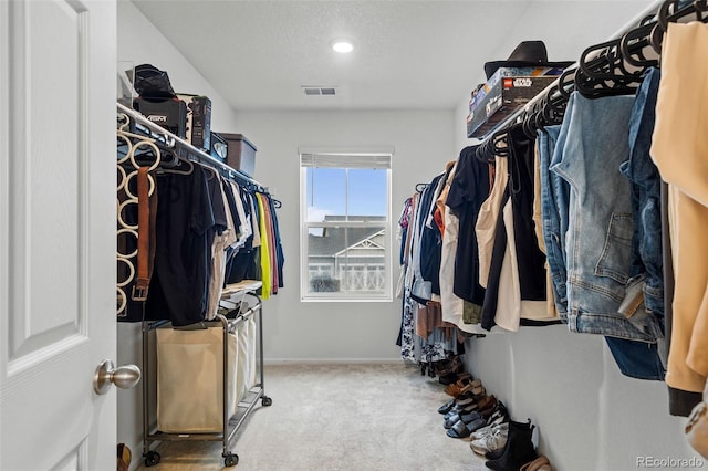 1228 Argali Dr, Severance, CO 80550 - spacious closet featuring carpet