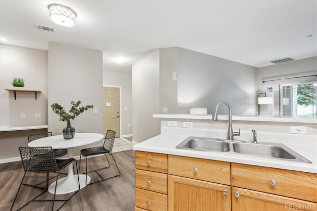 9692 W Coco Cir Unit 103, Littleton, CO 80128 - kitchen with a sink, wood finished floors, light countertops, and baseboards