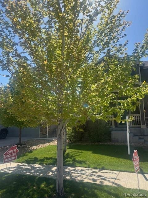 3197 Raintree Ln, Dacono, CO 80514 - view of grassy yard