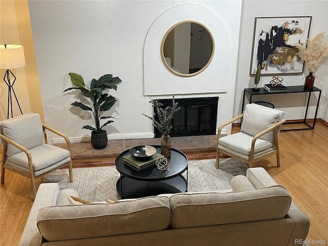 living room with wood-type flooring