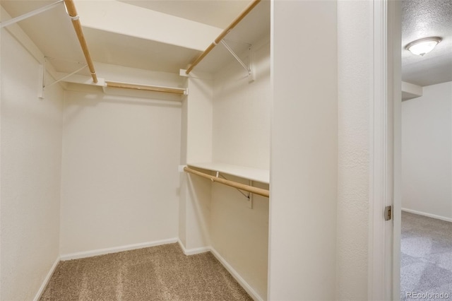 spacious closet featuring carpet floors