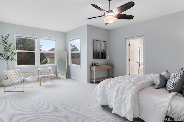 4379 W 117th Way, Westminster, CO 80031 - photo 21