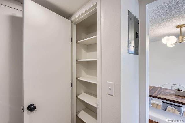 closet featuring electric panel