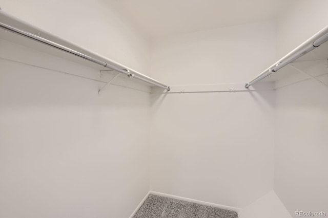 walk in closet featuring carpet