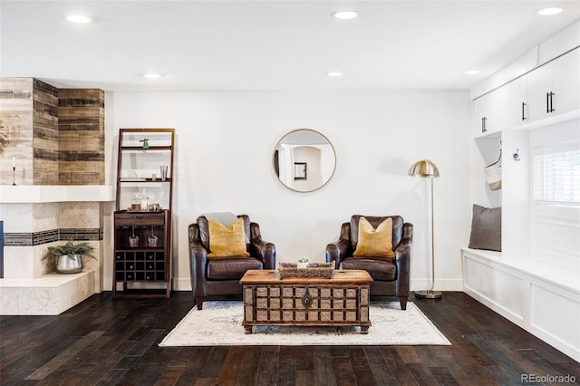 sitting room featuring dark wood-type flooring