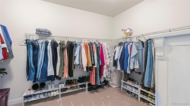 spacious closet featuring carpet flooring