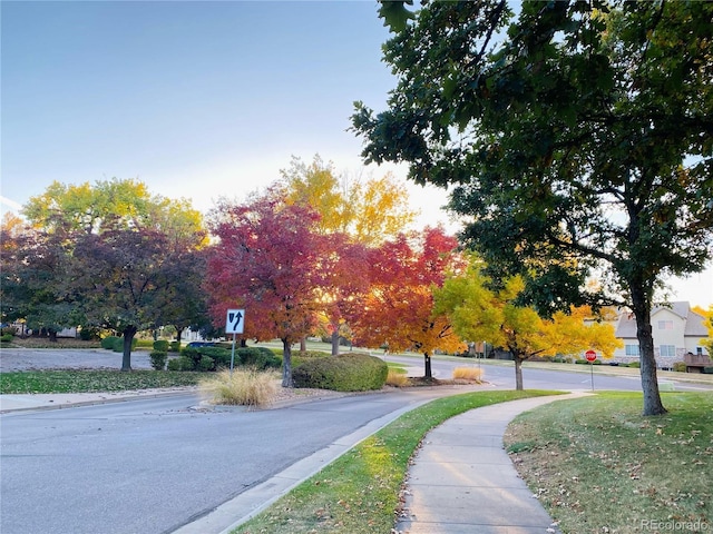 view of road featuring curbs, traffic signs, and sidewalks