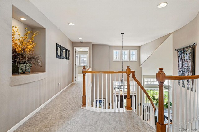 10305 Charissglen Cir, Highlands Ranch, CO 80126 - photo 20