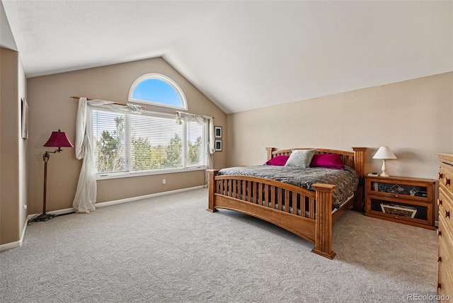 10305 Charissglen Cir, Highlands Ranch, CO 80126 - photo 21