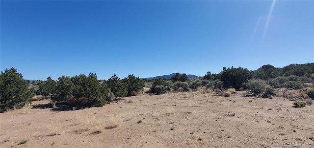 1061 Lee Way, Fort Garland, CO 81133
