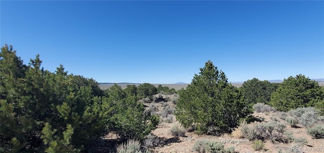 1061 Lee Way, Fort Garland, CO 81133