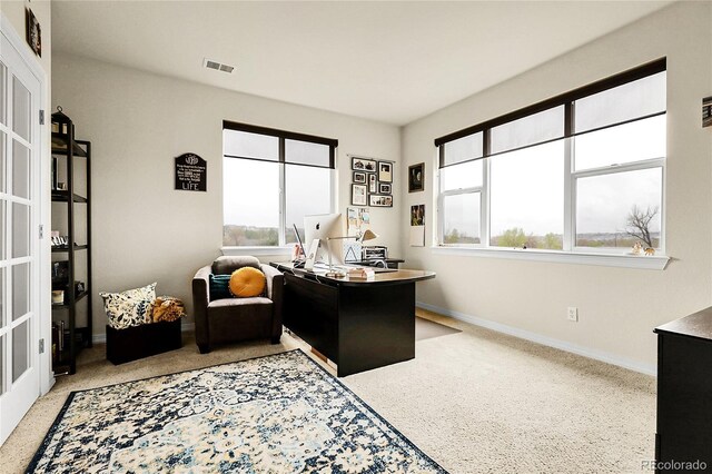 home office with baseboards