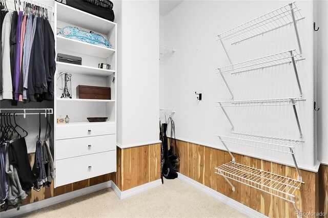view of spacious closet