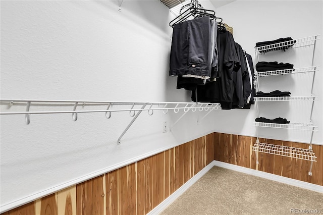 spacious closet featuring carpet floors