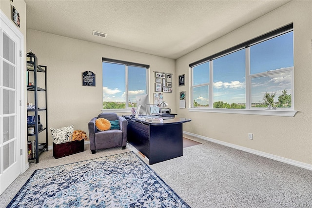 23965 E Kettle Pl, Aurora, CO 80016 - office area with carpet and a textured ceiling