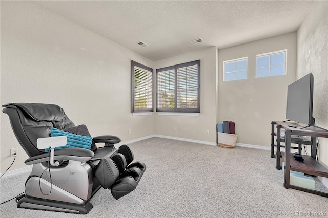 23965 E Kettle Pl, Aurora, CO 80016 - living area with carpet and a textured ceiling