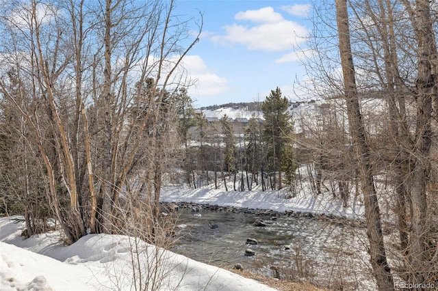 421 Rainbow Dr Unit 23, Silverthorne, CO 80498 - photo 35