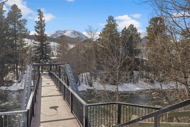 421 Rainbow Dr Unit 23, Silverthorne, CO 80498 - photo 36