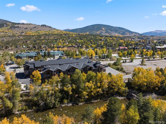 421 Rainbow Dr Unit 23, Silverthorne, CO 80498 - photo 38